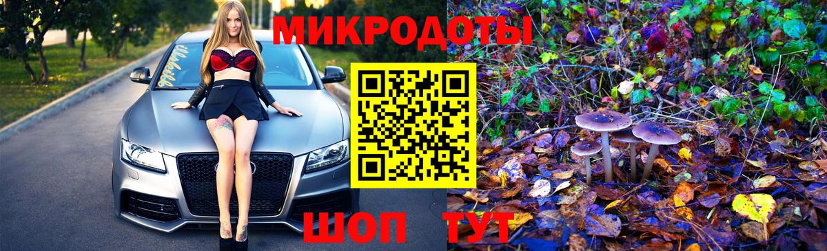Котлас  Галлюциногенные грибы Magic Shrooms  Вход с VPN 