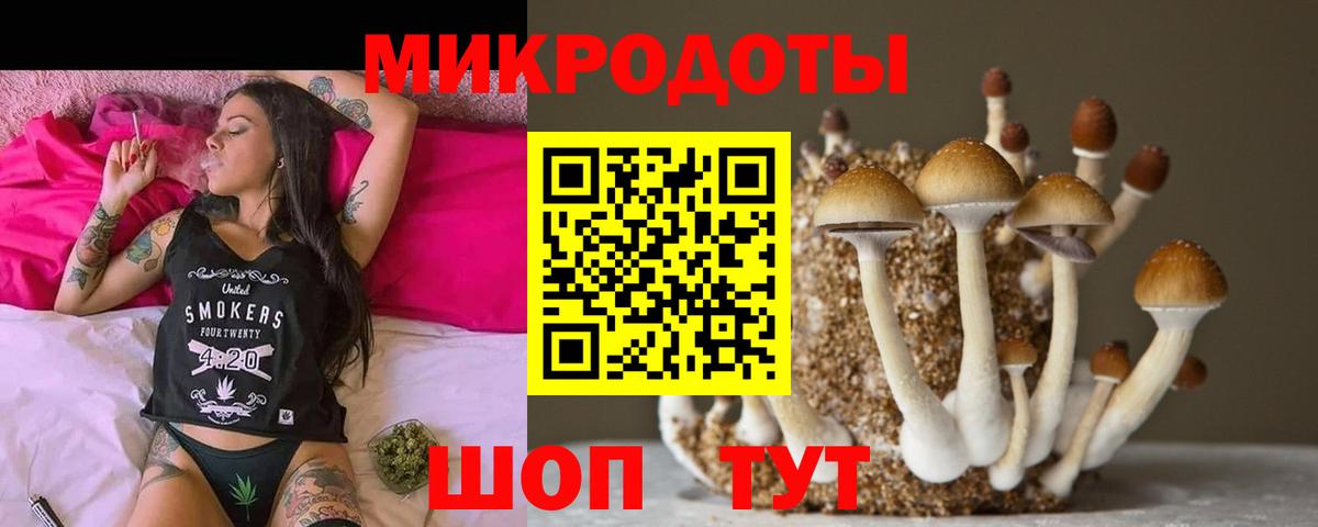 Галлюциногенные грибы ЛСД Котлас
