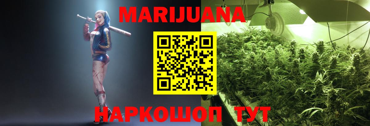Каннабис конопля Котлас